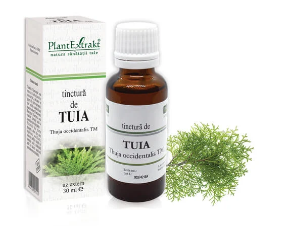 TINCTURA TUIA 30 ML [1]