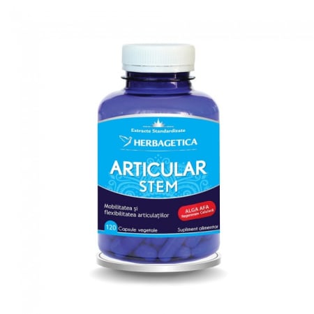 ARTICULAR + STEM 120 CPS