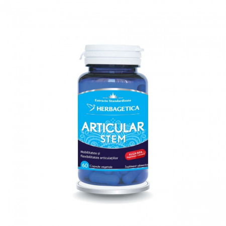 Sistemul osos si articulatii - ARTICULAR STEM 60 CPS