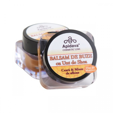 Îngijire buze - BALSAM BUZE CU UNT DE SHEA 10 ML