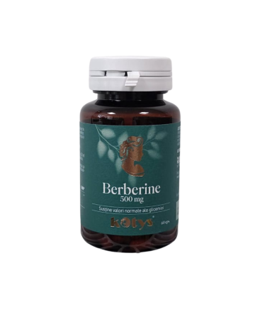 BERBERINA 500MG 60CPS KOTYS