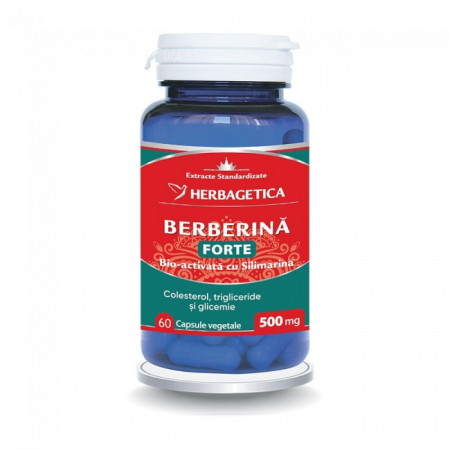 Colesterol - BERBERINA FORTE 60 CPS