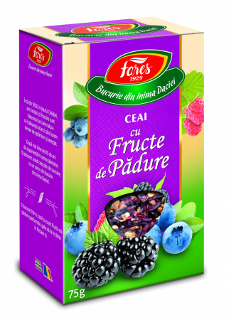 Alimentare - CEAI CU FRUCTE DE PADURE 50 G
