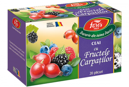 Alimentare - CEAI CU FRUCTELE CARPATILOR 20 DZ
