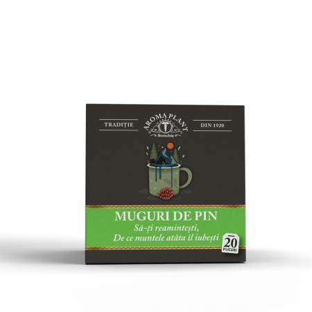 Afectiuni - CEAI DE MUGURI DE PIN 20 PLICURI