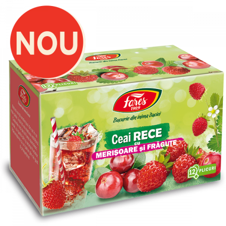 Alimentare - CEAI RECE CU MERISOARE SI FRAGUTE 12DZ