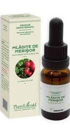 Sistemul osos si articulatii - CONCENTRAT MLADITE MERISOR 15ML