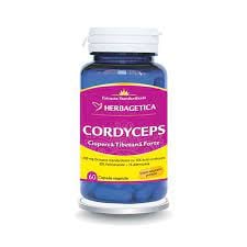 CORDYCEPS 10/30/1 60 CPS [0]