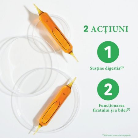 DESMODIUM 2000-DETOXIFIANT 20 FIOLE [1]