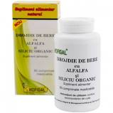 Suplimente - DROJDIE BERE ALFAALFA&amp; SILICIU ORGANIC 60 CPR