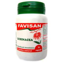 Imunitate - ECHINACEA 70 CPS