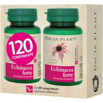 Capsule, Comprimate - ECHINACEEA FORTE 120 CPS