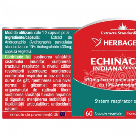 ECHINACEEA INDIANA 60 CPS [1]