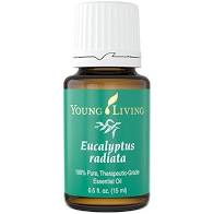 Cosmetice - EUCALYPTUS RADIATA ULEI ESENTIAL 15 ML