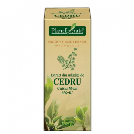 Piele, par si unghii - EXTRACT MLADITE CEDRU 50 ML