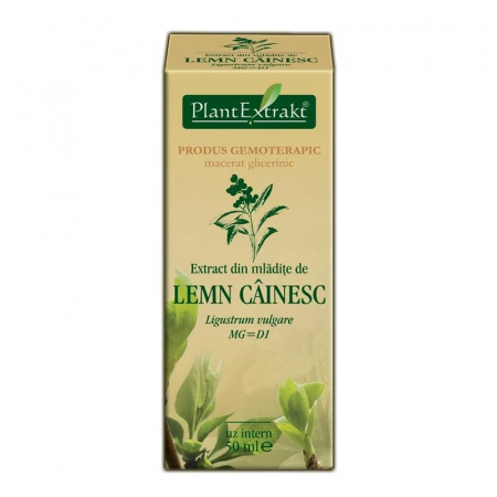 EXTRACT MLADITE LEMN CAINESC 50 ML