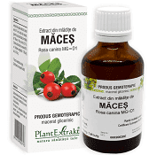 Tincturi - EXTRACT MLADITE MACES 50 ML