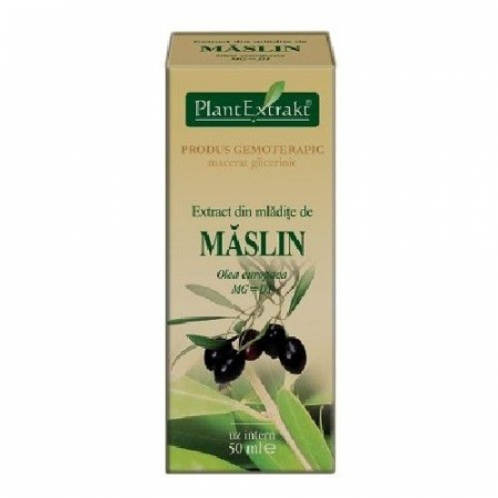 Colesterol - EXTRACT MLADITE MASLIN 50 ML