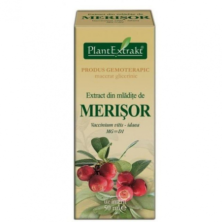 Tincturi - EXTRACT MLADITE MERISOR 50 ML