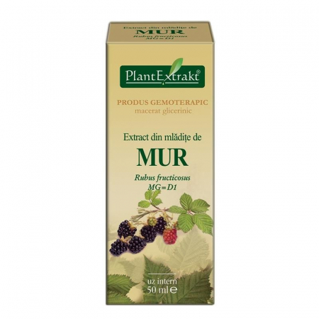 Sistemul osos si articulatii - EXTRACT MLADITE MUR 50 ML