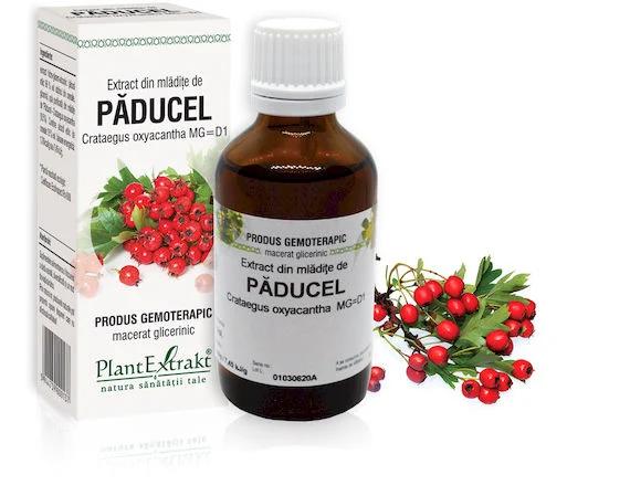 Tensiunea arteriala - EXTRACT MLADITE PADUCEL 50 ML