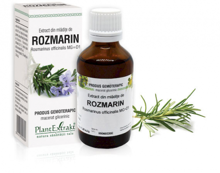 Tincturi - EXTRACT MLADITE ROSMARIN 50 ML