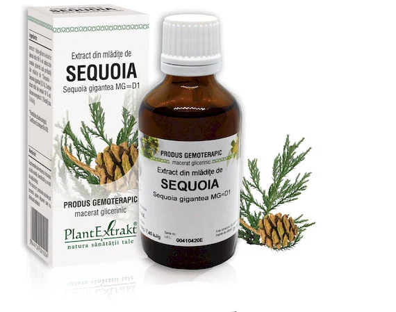 Afectiuni ale prostatei - EXTRACT MLADITE SEQUOIA 50 ML