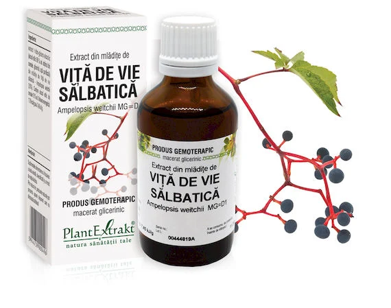 Sistemul osos si articulatii - EXTRACT MLADITE VITA VIE SALBATICA 50 ML