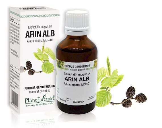 Tincturi - EXTRACT MUGURI ARIN ALB 50 ML