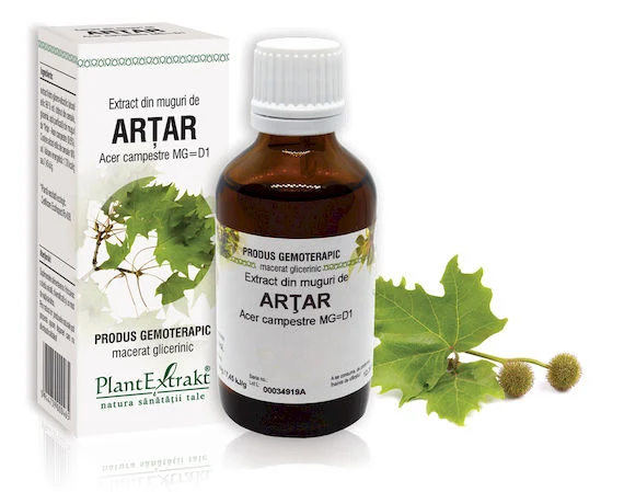 Sistemul circulator - EXTRACT MUGURI ARTAR 50 ML
