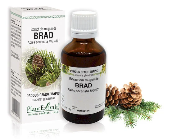 Sistemul osos si articulatii - EXTRACT MUGURI BRAD 50 ML