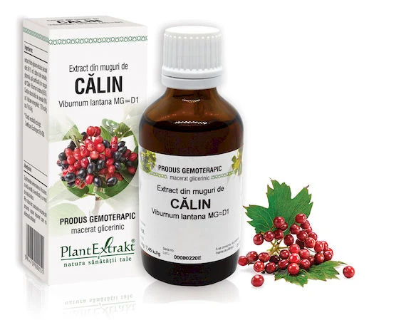 Tincturi - EXTRACT MUGURI CALIN 50 ML
