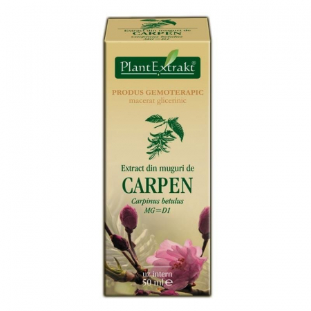 Tincturi - EXTRACT MUGURI CARPEN 50 ML
