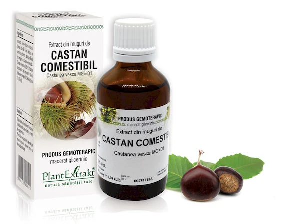 Tincturi - EXTRACT MUGURI CASTAN COMESTIBIL 50 ML