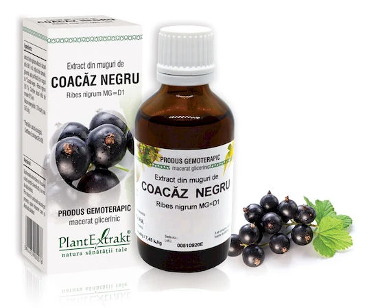 Sistemul osos si articulatii - EXTRACT MUGURI COACAZ NEGRU 50 ML