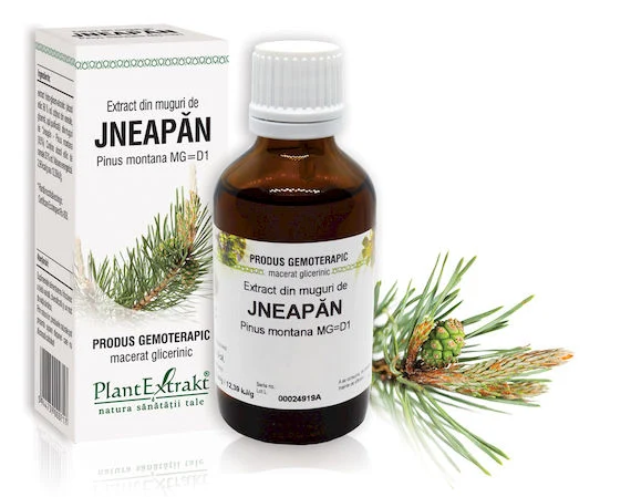 Sistemul osos si articulatii - EXTRACT MUGURI JNEAPAN 50 ML