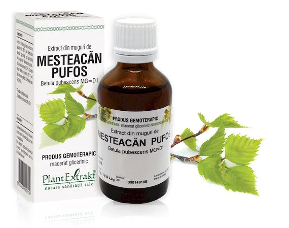 Sistemul osos si articulatii - EXTRACT MUGURI MESTEACAN PUFOS 50 ML