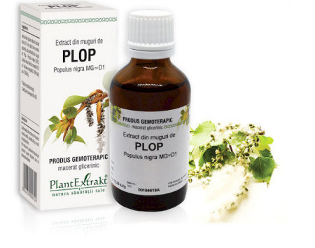 Circulație periferică deficitară - EXTRACT MUGURI PLOP 50 ML