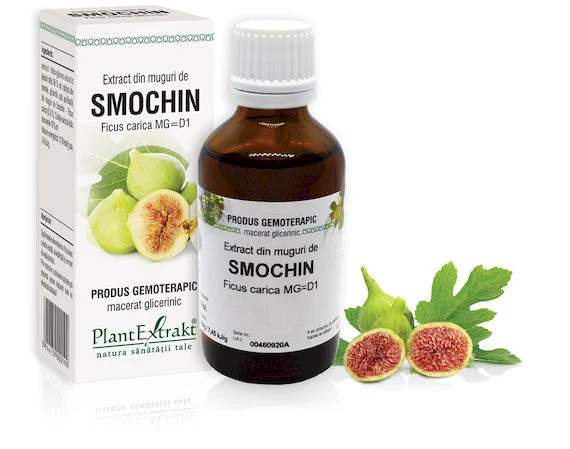 Digestie lentă - EXTRACT MUGURI SMOCHIN 50 ML