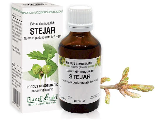 Digestie lentă - EXTRACT MUGURI STEJAR 50  ML