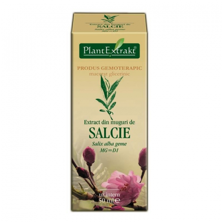 Tincturi - EXTRACT SALCIE  MUGURI 50 ML