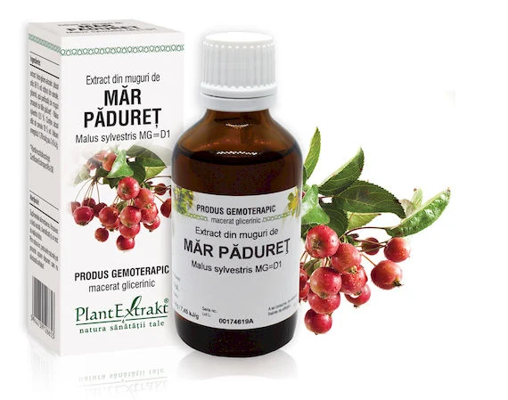 Suplimente - GEMODERIVAT DIN MUGURI DE MAR PADURET 50 ML