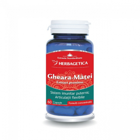 Sistemul osos si articulatii - GHEARA MATEI 60 CPS
