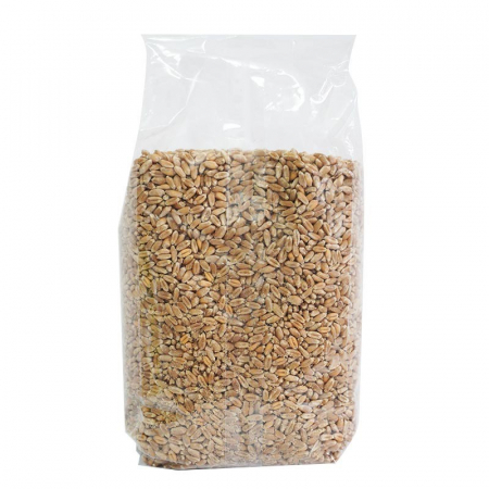 GRAU INTEGRAL 500G KOTYS [1]