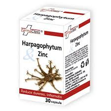 Suplimente - HARPAGOPHYTUM &amp; ZINC 30 CPS