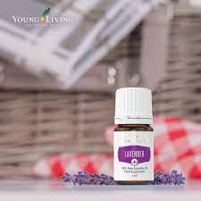 Suplimente - LAVENDER + ULEI ESENTIAL 5 ML