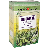 Alimentare - LIPICIOASA 50 G