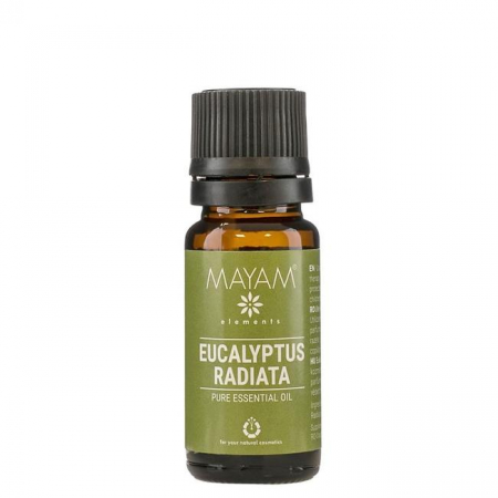 Esențe și Parfumante - M EUCALIPT RADIATA 10 ML