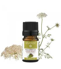 Esențe și Parfumante - M SEMINTE MORCOV 5 ML