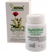 Suplimente - MAG ANGHINAR 60 CPS